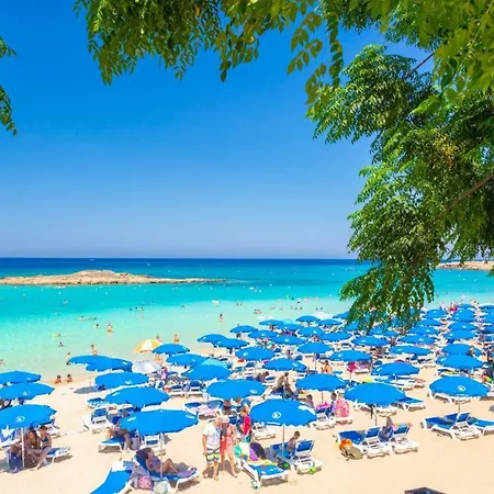 Andree Paralimni